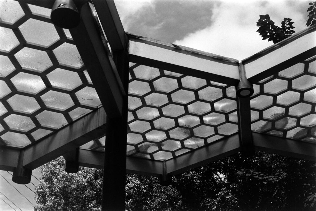 SMC PENTAX-M 50mm f1.7 | f8