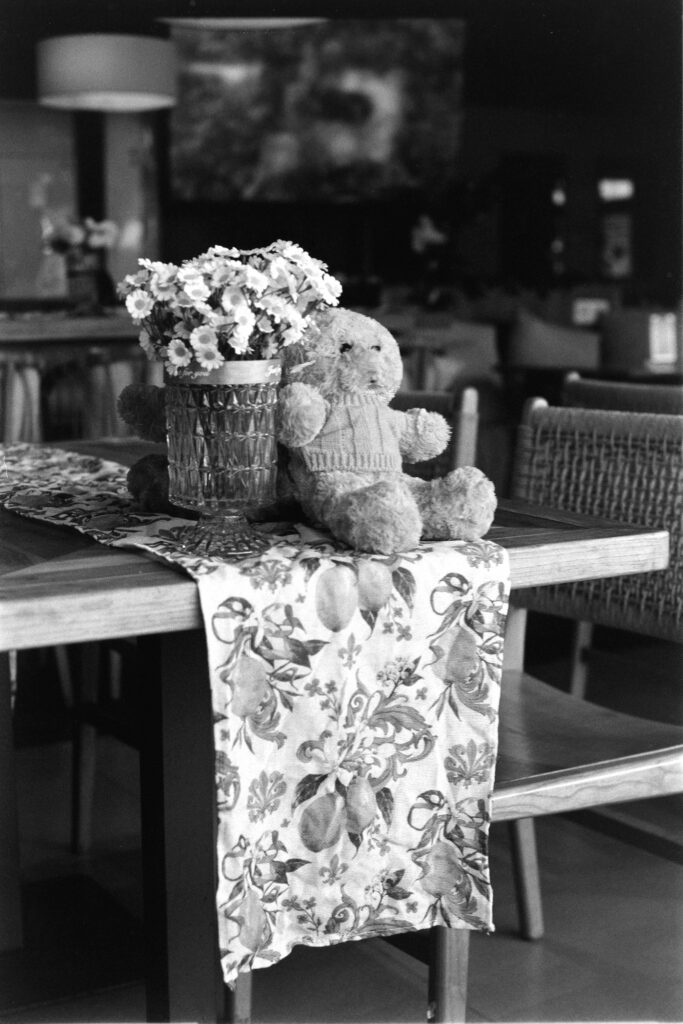 14 SMC PENTAX-M 50mm f1.7 | f4