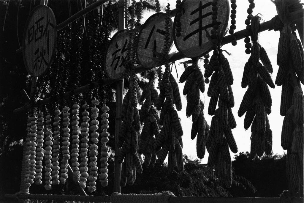 29, SMC PENTAX-M 50mm f1.7 | f8